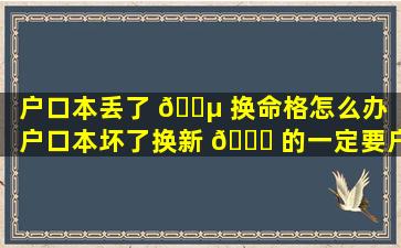 户口本丢了 🌵 换命格怎么办「户口本坏了换新 🐟 的一定要户主去吗」